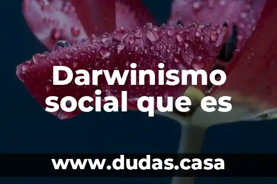 Darwinismo social que es