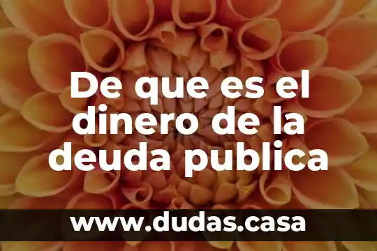 De que es el dinero de la deuda publica