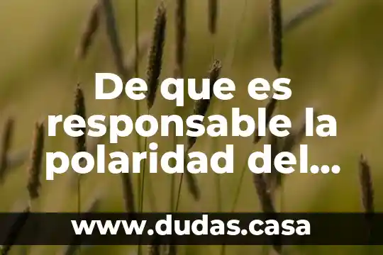 De que es responsable la polaridad del agua