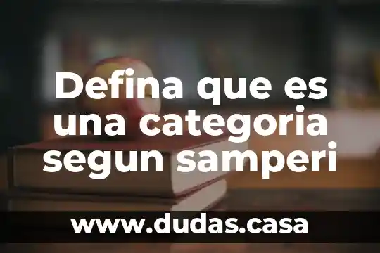 Defina que es una categoria segun samperi