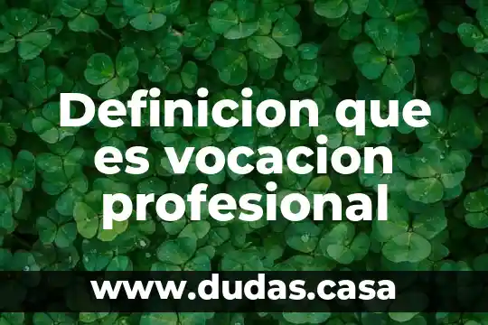 Definicion que es vocacion profesional