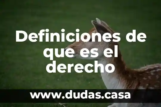 Definiciones de que es el derecho