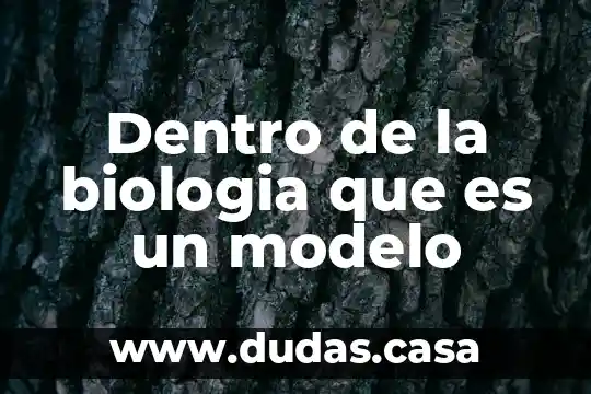 Dentro de la biologia que es un modelo