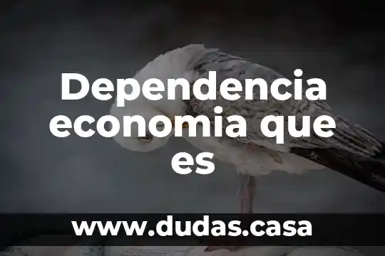 Dependencia economia que es