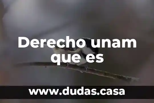Derecho unam que es