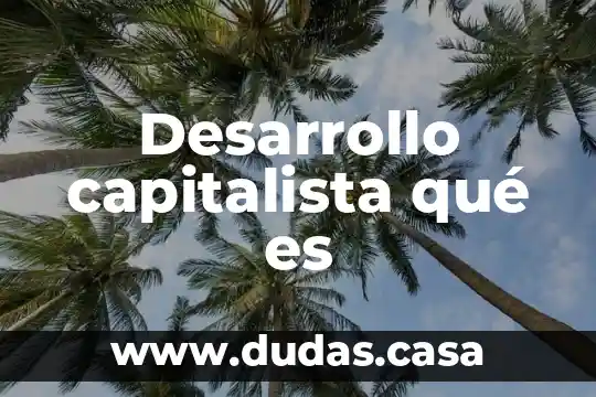 Desarrollo capitalista qué es