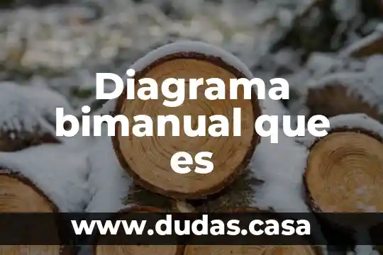 Diagrama bimanual que es