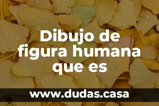 Dibujo de figura humana que es