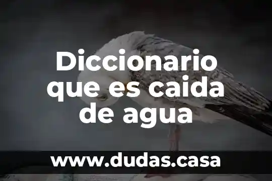 Diccionario que es caida de agua