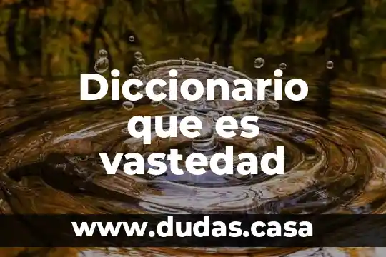 Diccionario que es vastedad