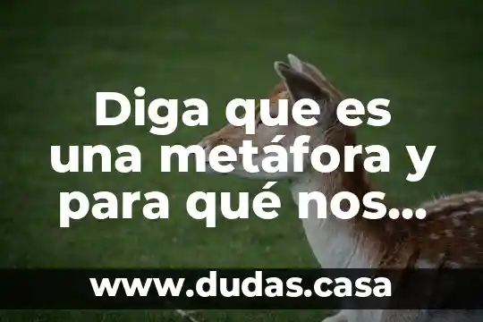 Diga que es una metáfora y para qué nos sirve