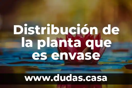 Distribución de la planta que es envase