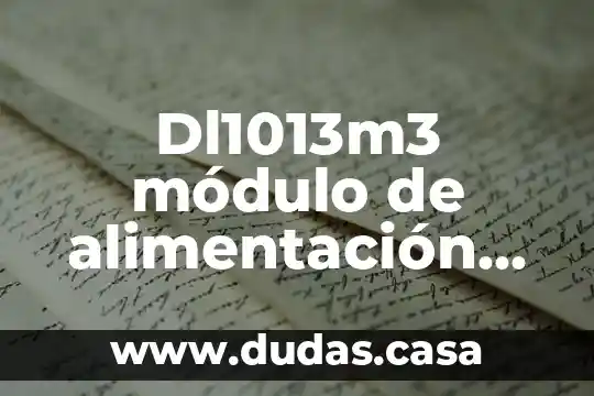 Dl1013m3 módulo de alimentación que es