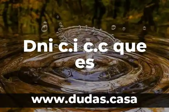 Dni c.i c.c que es