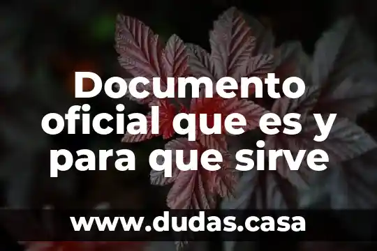 Documento oficial que es y para que sirve