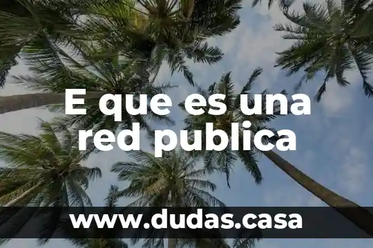 E que es una red publica