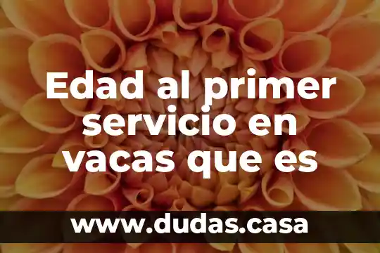 Edad al primer servicio en vacas que es