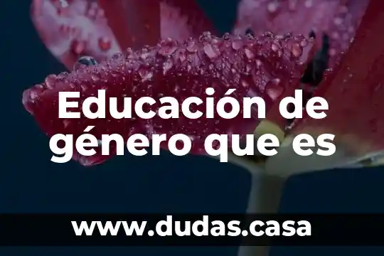 Educación de género que es
