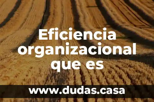 Eficiencia organizacional que es