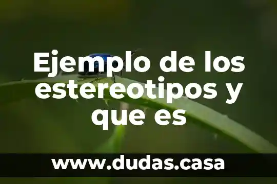 Ejemplo de los estereotipos y que es