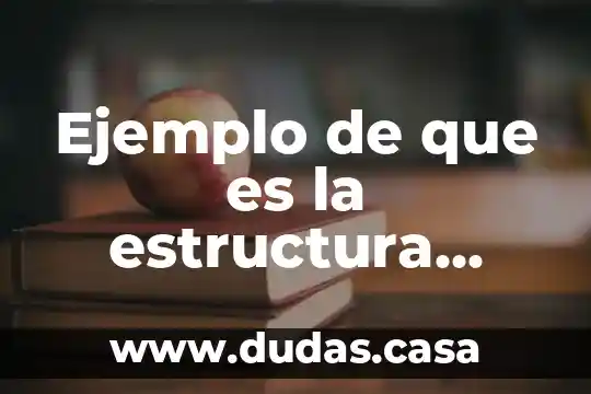 Ejemplo de que es la estructura organizacional