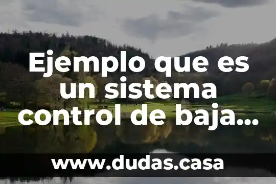 Ejemplo que es un sistema control de baja potencia