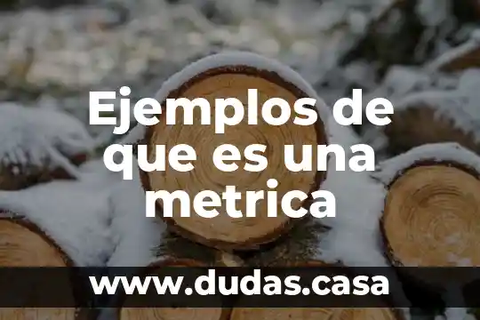 Ejemplos de que es una metrica