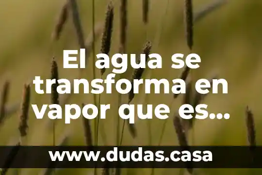 El agua se transforma en vapor que es vamopor