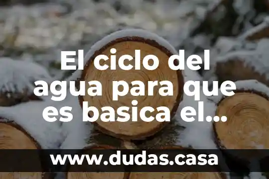 El ciclo del agua para que es basica el agua