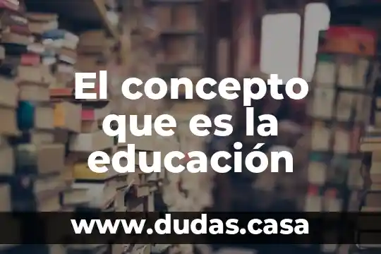 El concepto que es la educación