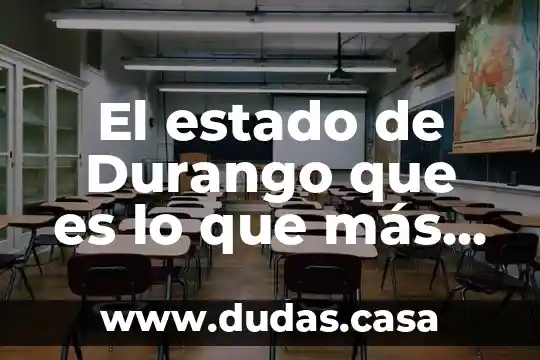 Que es lo que mas se produce en swazilandia 7 El estado de Durango que es lo que más produce