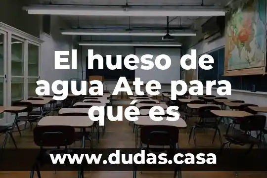 El hueso de agua Ate para qué es