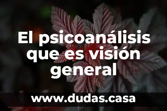 El psicoanálisis que es visión general