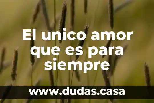 El unico amor que es para siempre