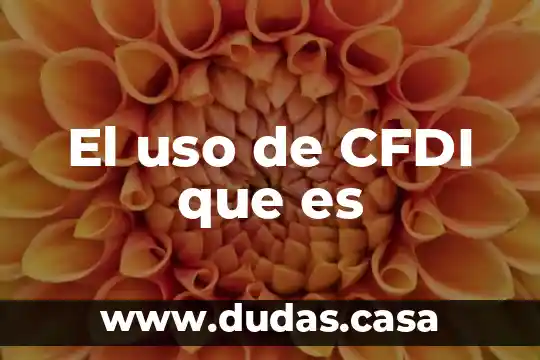 El uso de CFDI que es