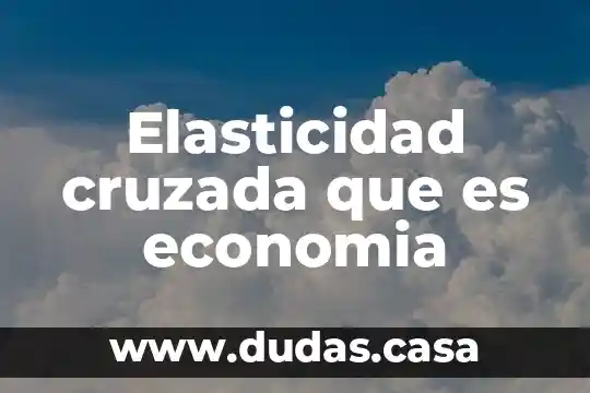 Elasticidad cruzada que es economia