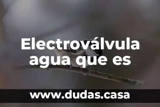 Electroválvula agua que es