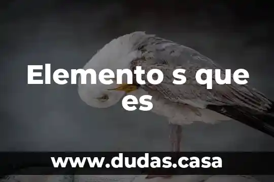 Elemento s que es