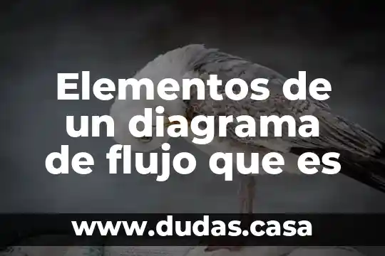 Elementos de un diagrama de flujo que es