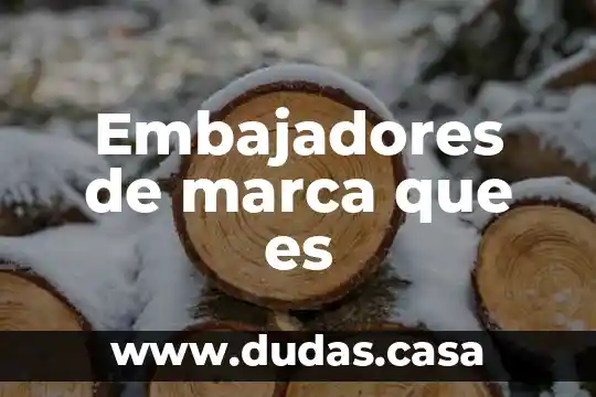 Embajadores de marca que es