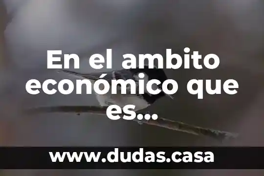 En el ambito económico que es sustentabilidad