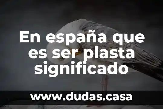 En españa que es ser plasta significado
