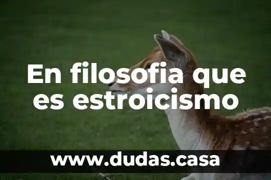 En filosofia que es estroicismo