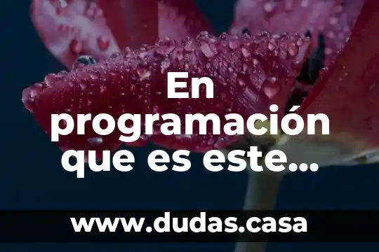 En programación que es este símbolo &