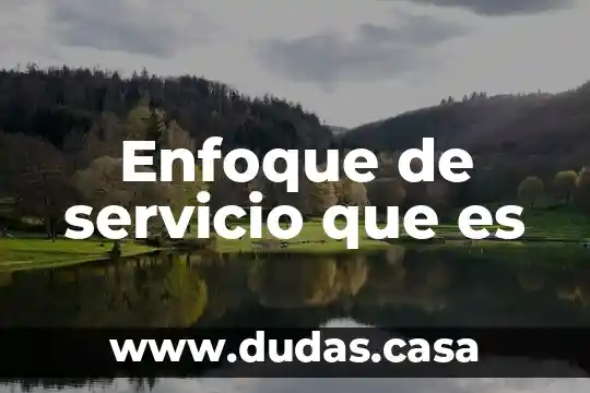 Enfoque de servicio que es