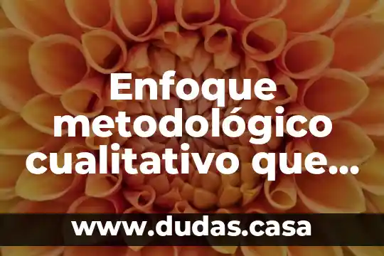 Enfoque metodológico cualitativo que es wikipedi