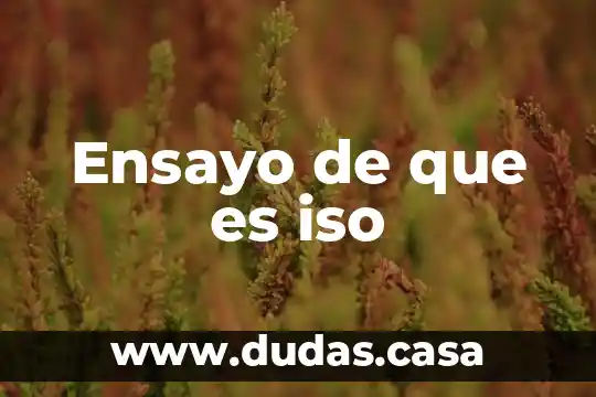 Ensayo de que es iso