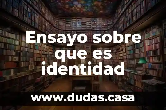 Ensayo sobre que es identidad