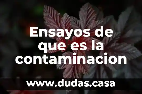 Ensayos de que es la contaminacion