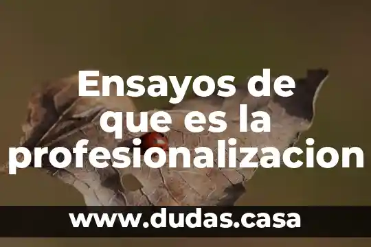 Ensayos de que es la profesionalizacion
